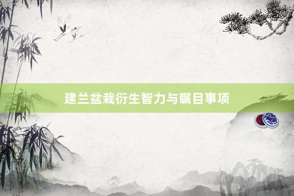 建兰盆栽衍生智力与瞩目事项