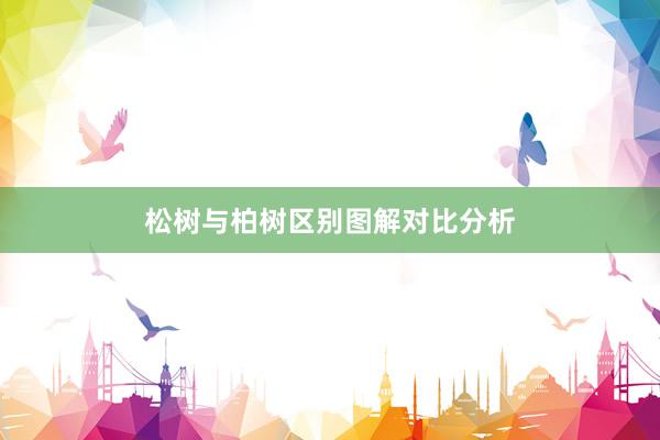 松树与柏树区别图解对比分析